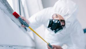 Real Estate Pest Inspections in Mohnton, PA